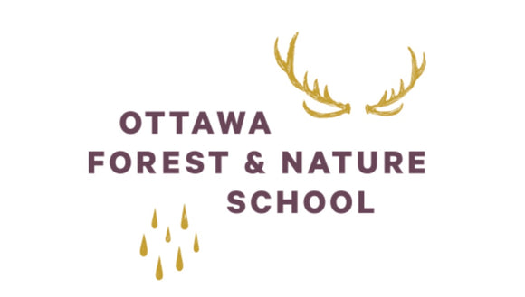 Outstanding Forest School Fees